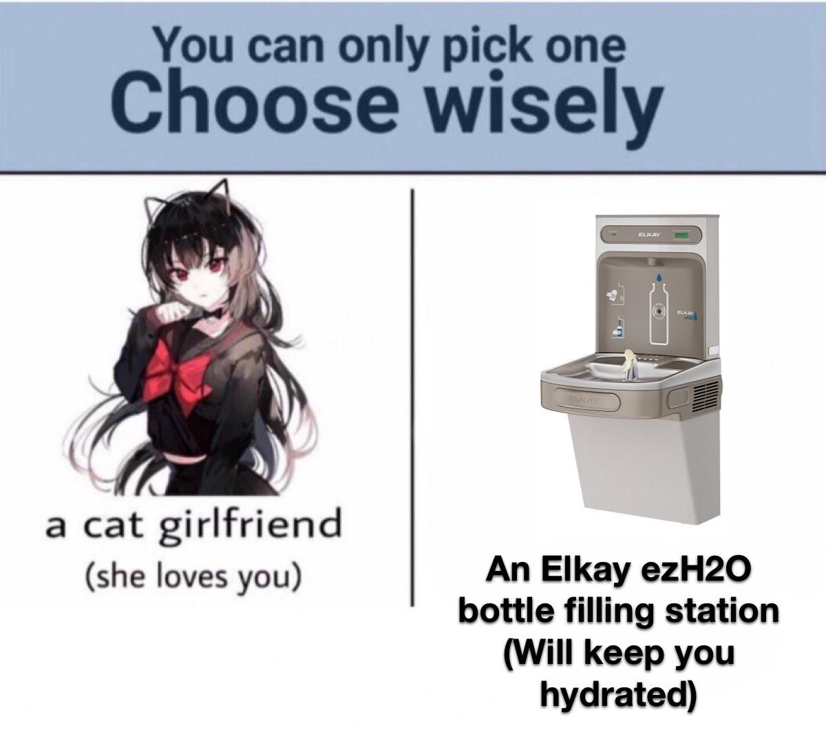 funniest memes - choose wisely cat girlfriend meme - You can only pick one Choose wisely Elkay a cat girlfriend she loves you An Elkay ezH20 bottle filling station Will keep you hydrated