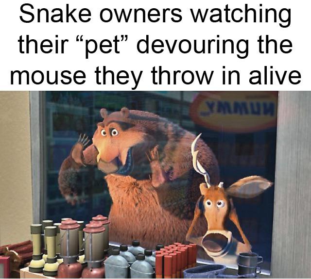 funniest memes - open season 3 - Snake owners watching their "pet" devouring the mouse they throw in alive Ymmun