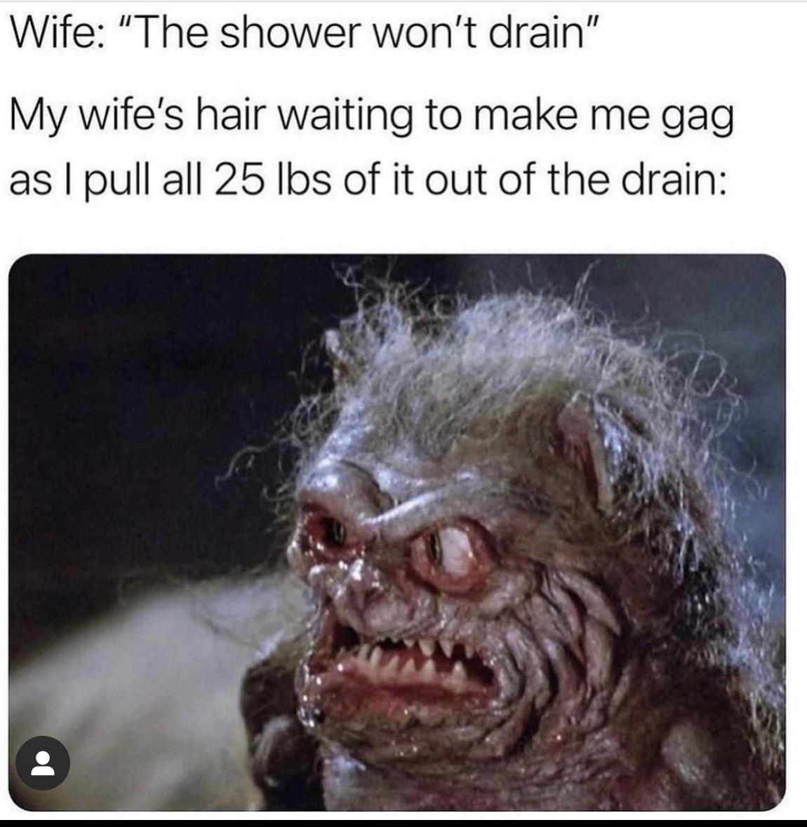 funniest memes - wife hair drain meme - Wife "The shower won't drain" My wife's hair waiting to make me gag as I pull all 25 lbs of it out of the drain