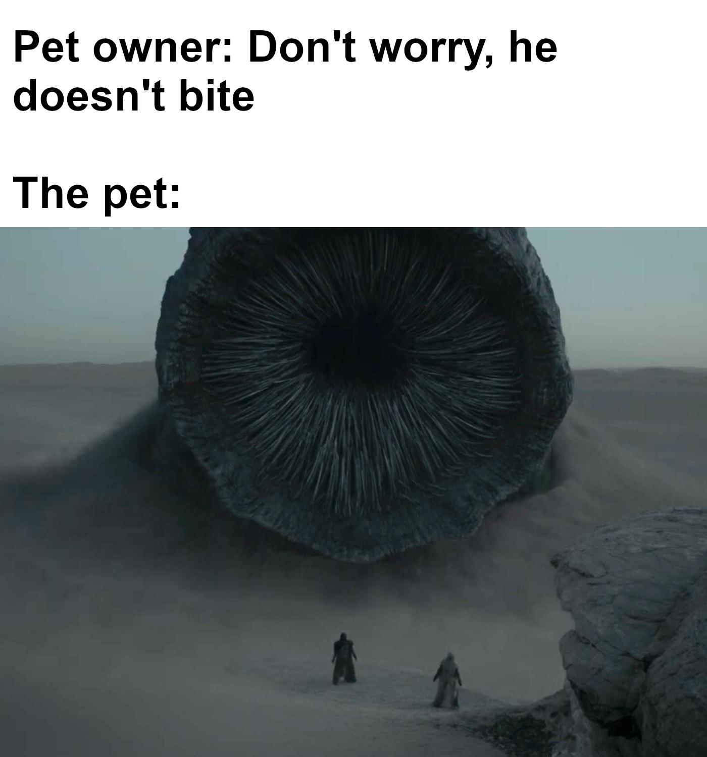 sky - Pet owner Don't worry, he doesn't bite The pet