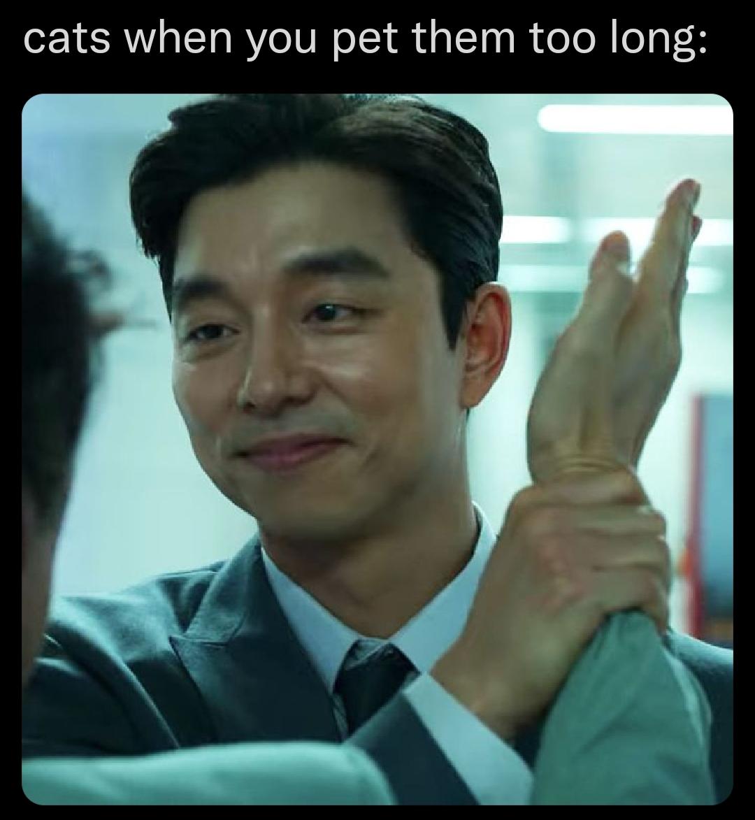 gong yoo - cats when you pet them too long