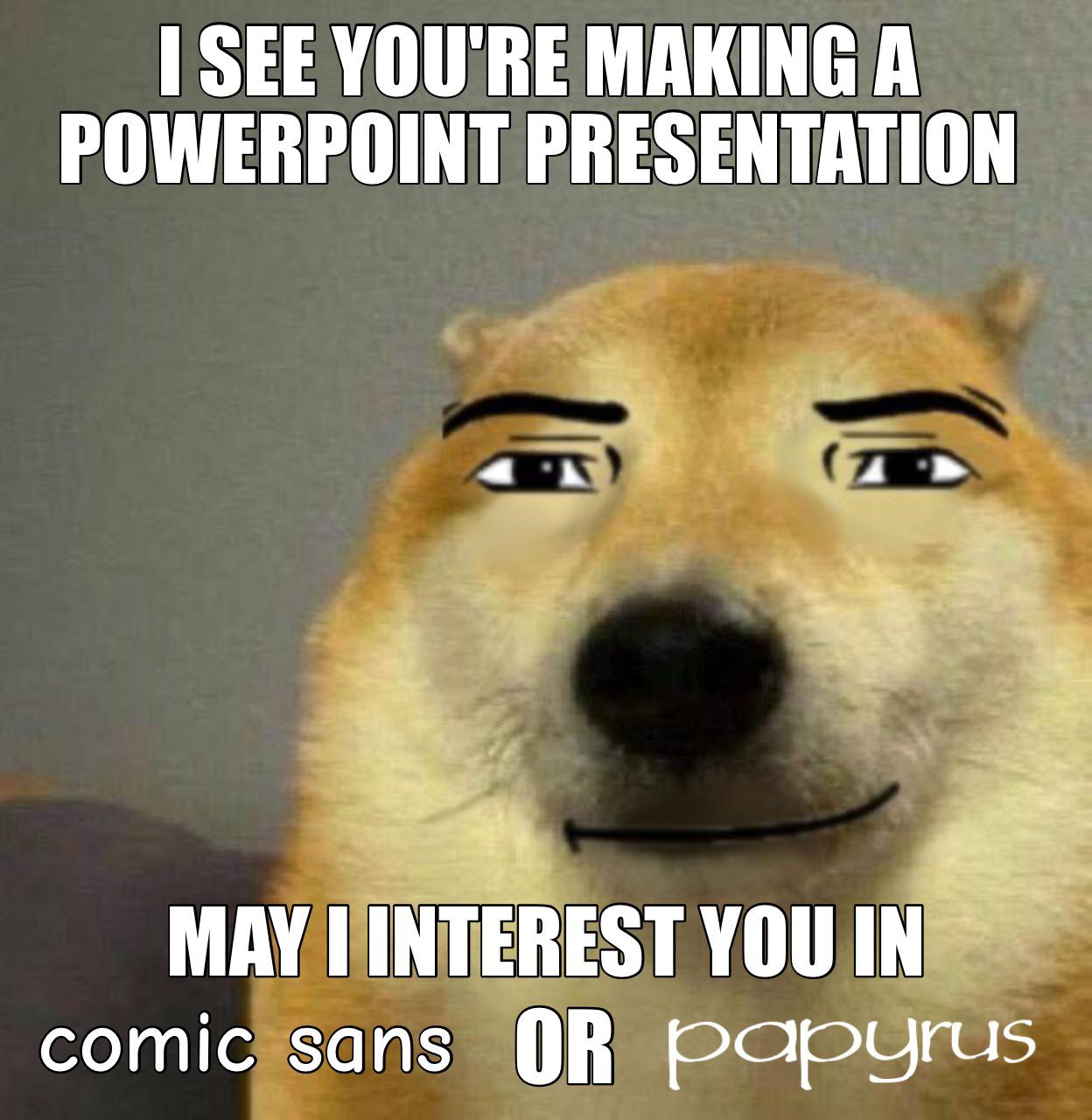 dog - I See You'Re Making A Powerpoint Presentation May I Interest You In comic sans Or papyrus