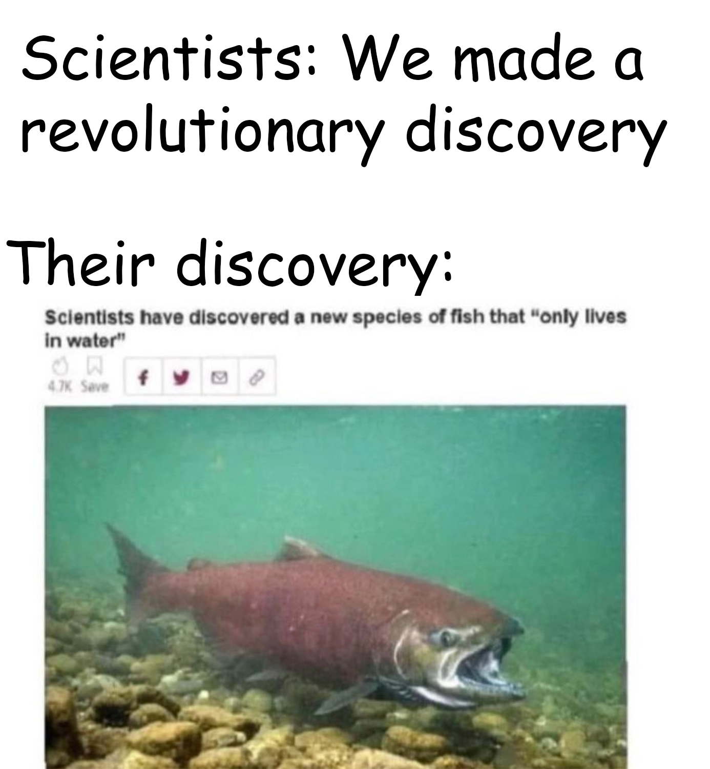 newly discovered water fish - Scientists We made a revolutionary discovery Their discovery Scientists have discovered a new species of fish that "only Ilves in water" On