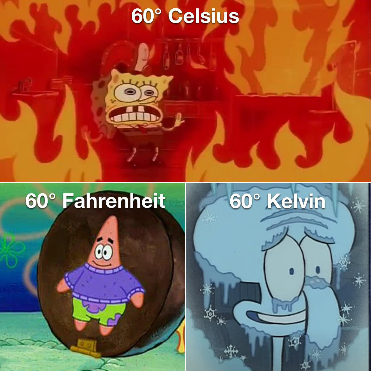 spongebob arizona meme - 60 Celsius 60 Fahrenheit 60 Kelvin Co so