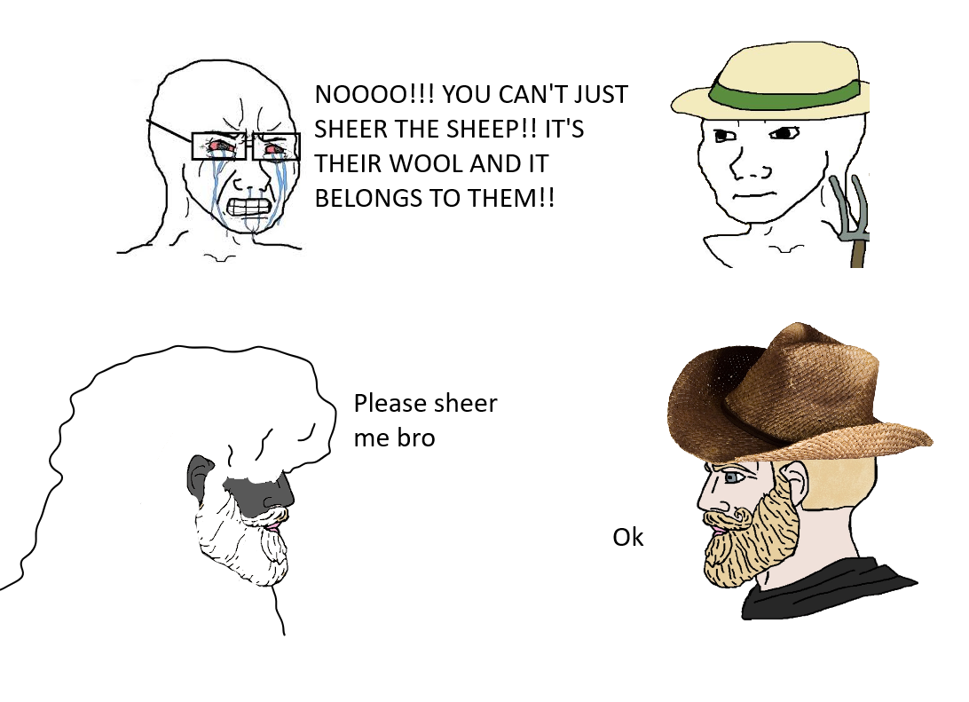 cartoon - Noooo!!! You Can'T Just Sheer The Sheep!! It'S Their Wool And It Belongs To Them!! Os Please sheer me bro ok