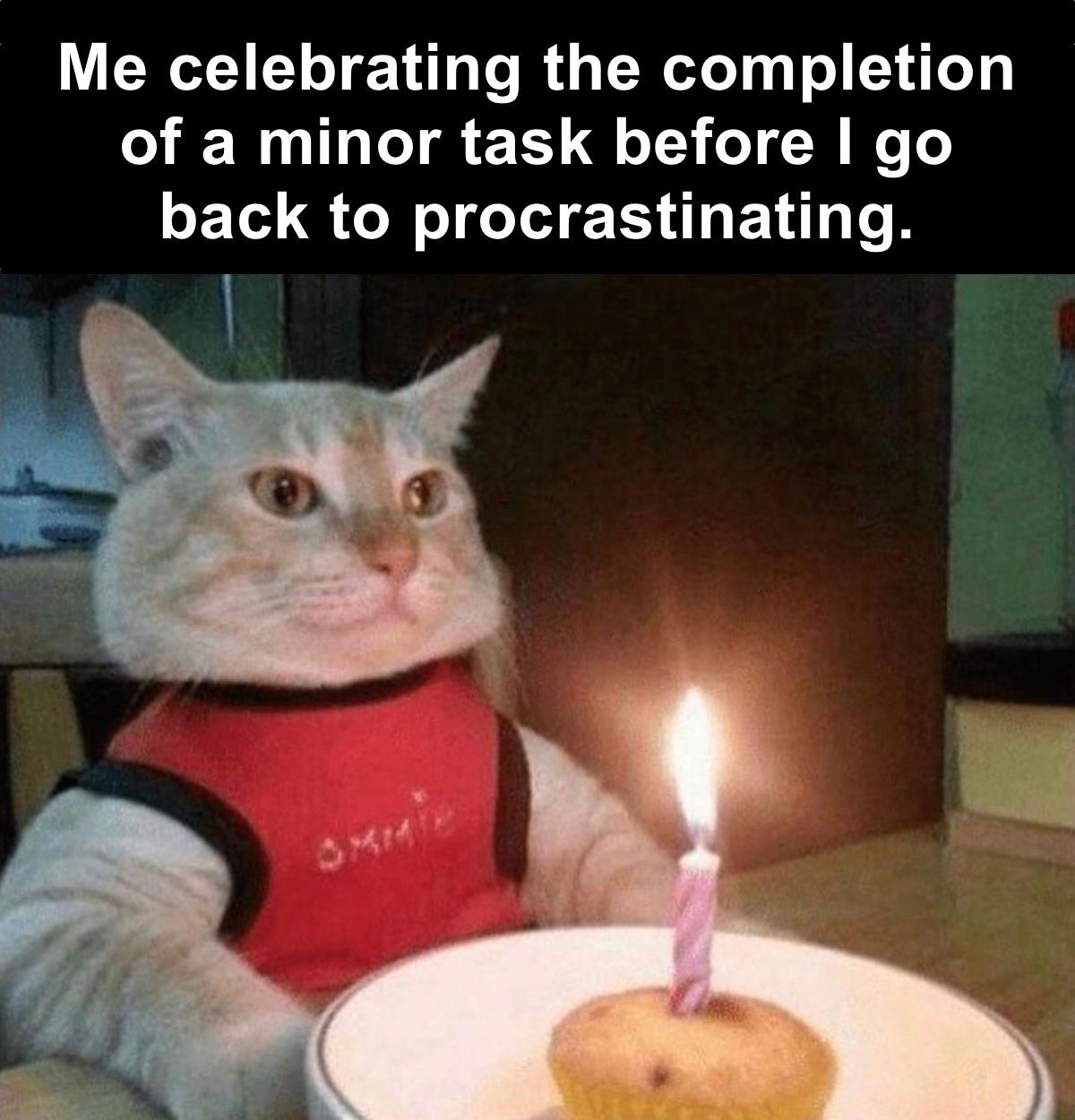 hilarious memes - birthday nihilism - Me celebrating the completion of a minor task before I go back to procrastinating.