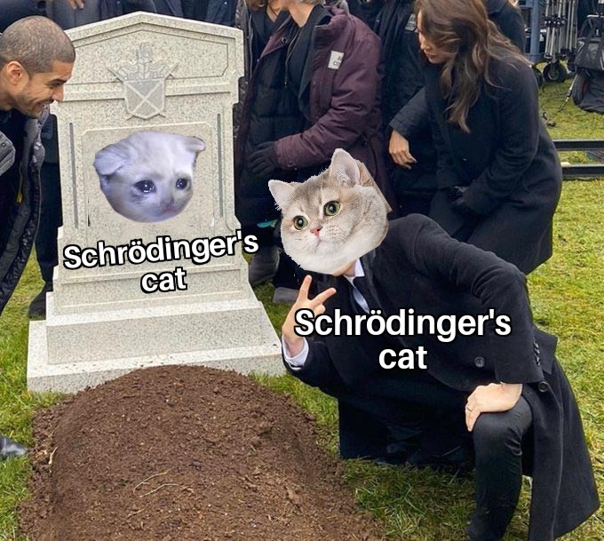 hilarious memes - john mulaney grave meme template - Schrdinger's cat Schrdinger's cat