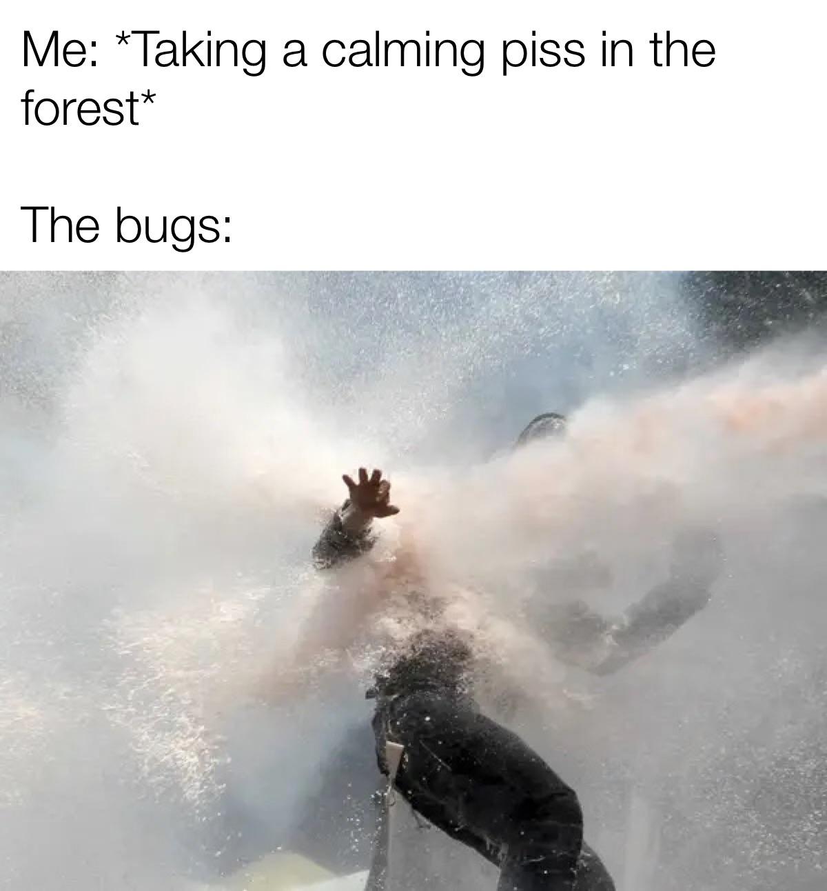 hilarious memes - Water cannon - Me Taking a calming piss in the forest The bugs