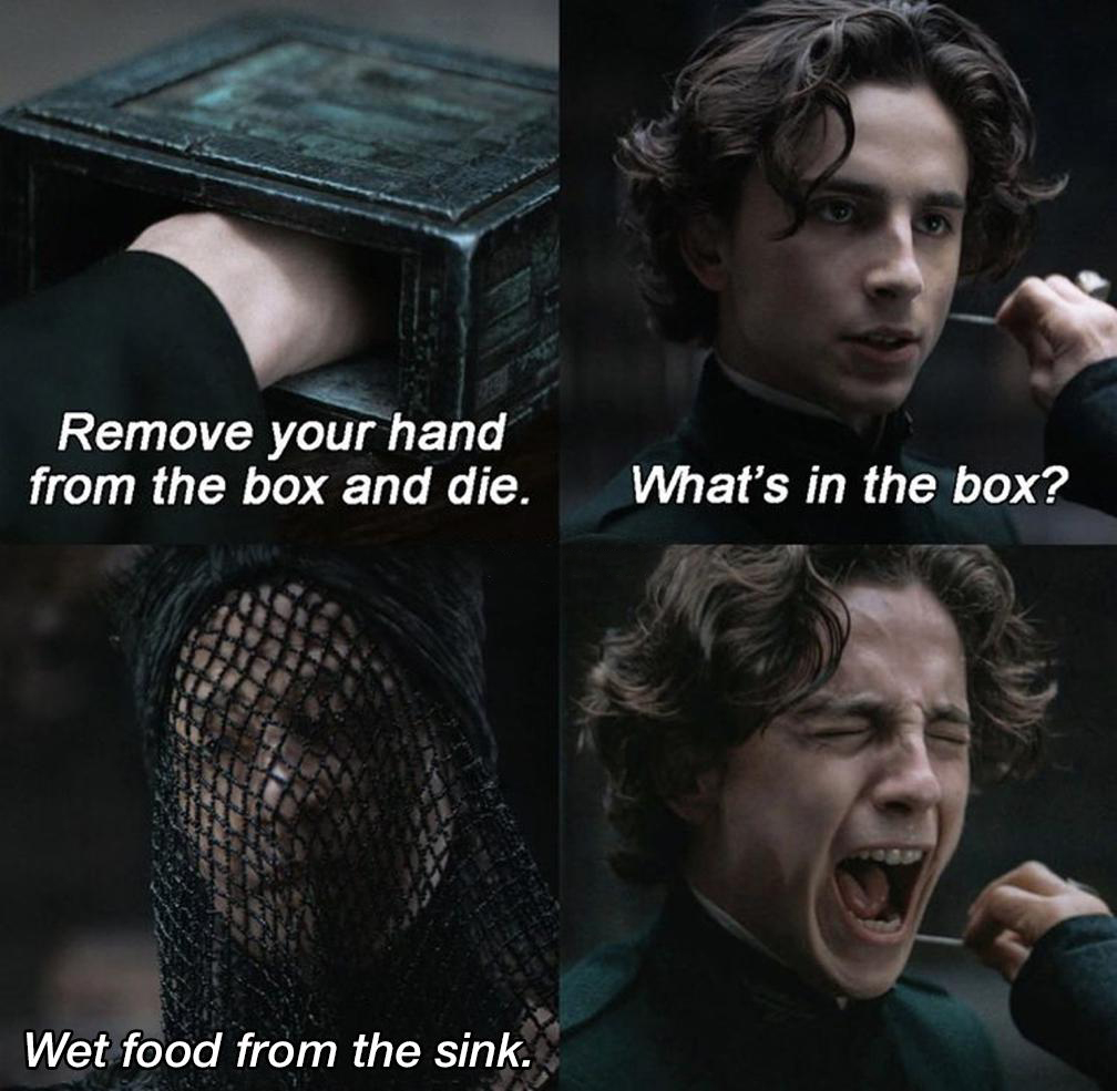 dank memes - create - Remove your hand from the box and die. What's in the box? Wet food from the sink.