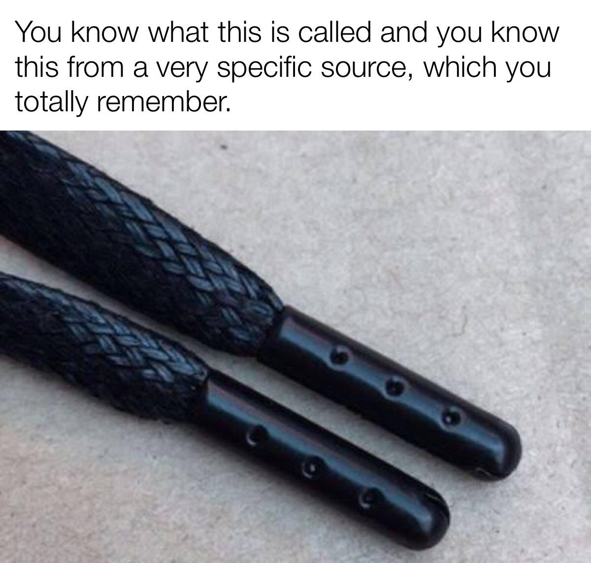 dank memes - aglet shoe - You know what this is called and you know this from a very specific source, which you totally remember