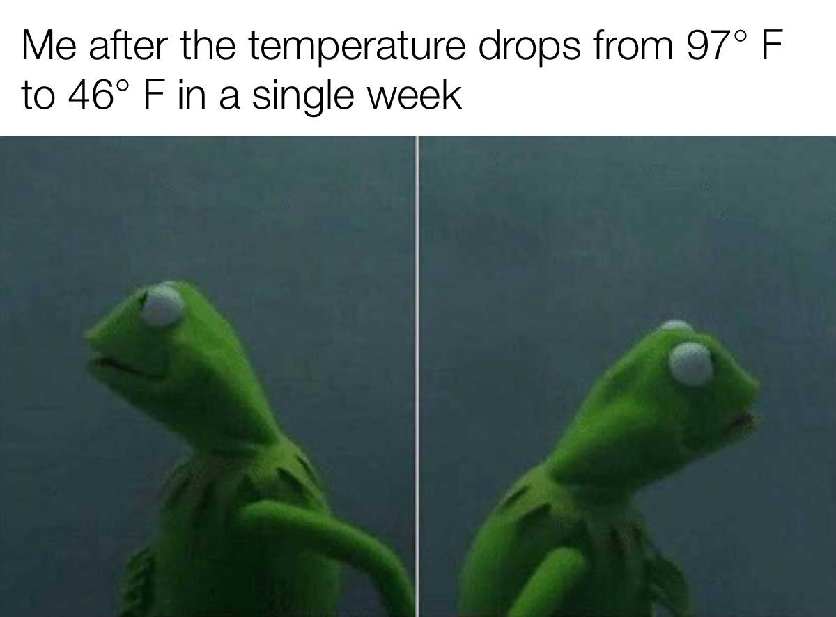kermit the frog meme - Me after the temperature drops from 97 F to 46 F in a single week a