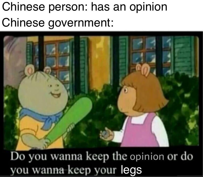 good memes - Chinese person has an opinion Chinese government Do you wanna keep the opinion or do you wanna keep your legs