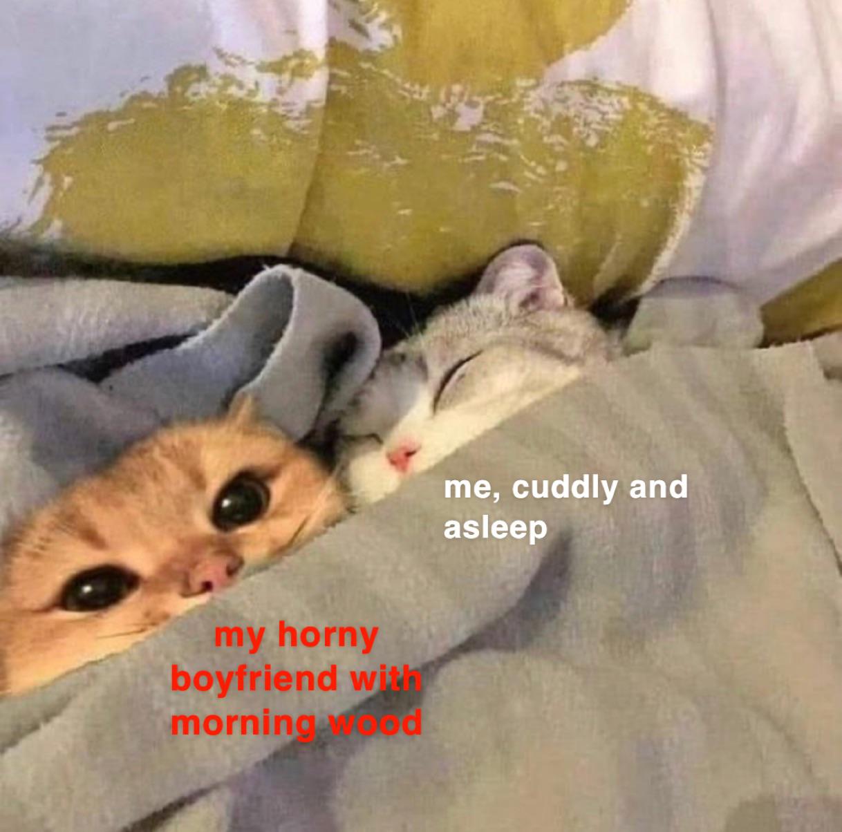 fauna - me, cuddly and asleep my horny boyfriend with morning mood