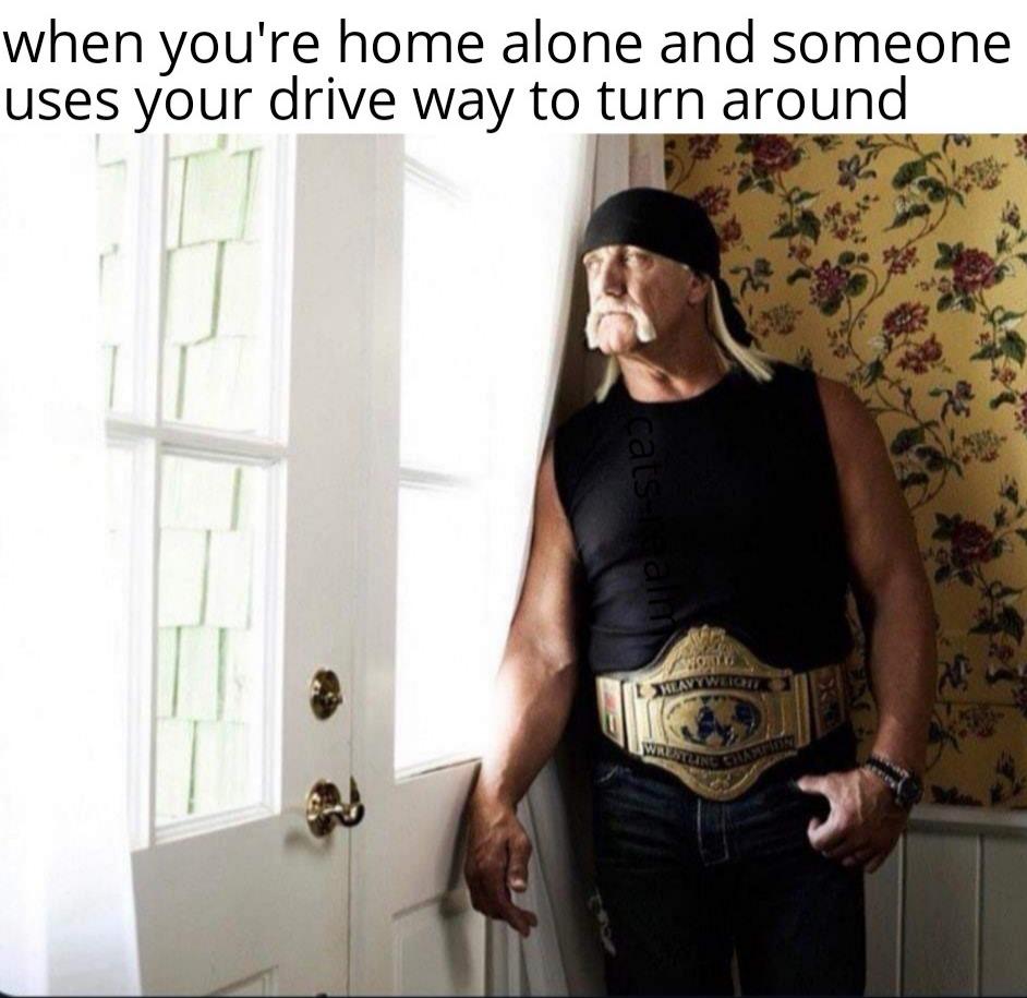 gym reopen meme - when you're home alone and someone uses your drive way to turn around cats army Klavyweigen Wrestling