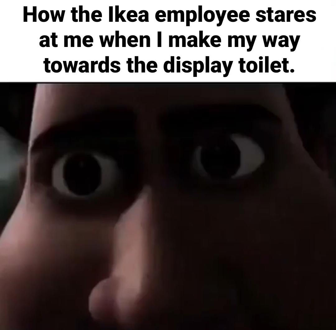 dank memes - good - How the Ikea employee stares at me when I make my way towards the display toilet.