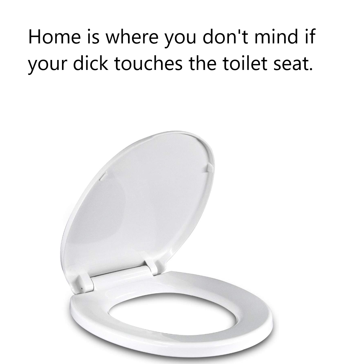 hilarious memes - toilet seat - Home is where you don't mind if your dick touches the toilet seat.