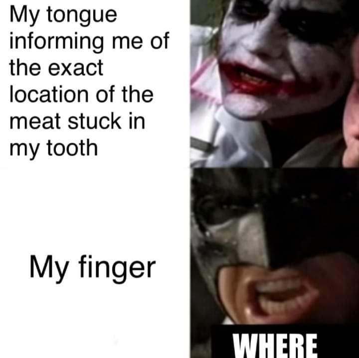 hilarious memes - my tongue precisely explaining the location - My tongue informing me of the exact location of the meat stuck in my tooth My finger Where