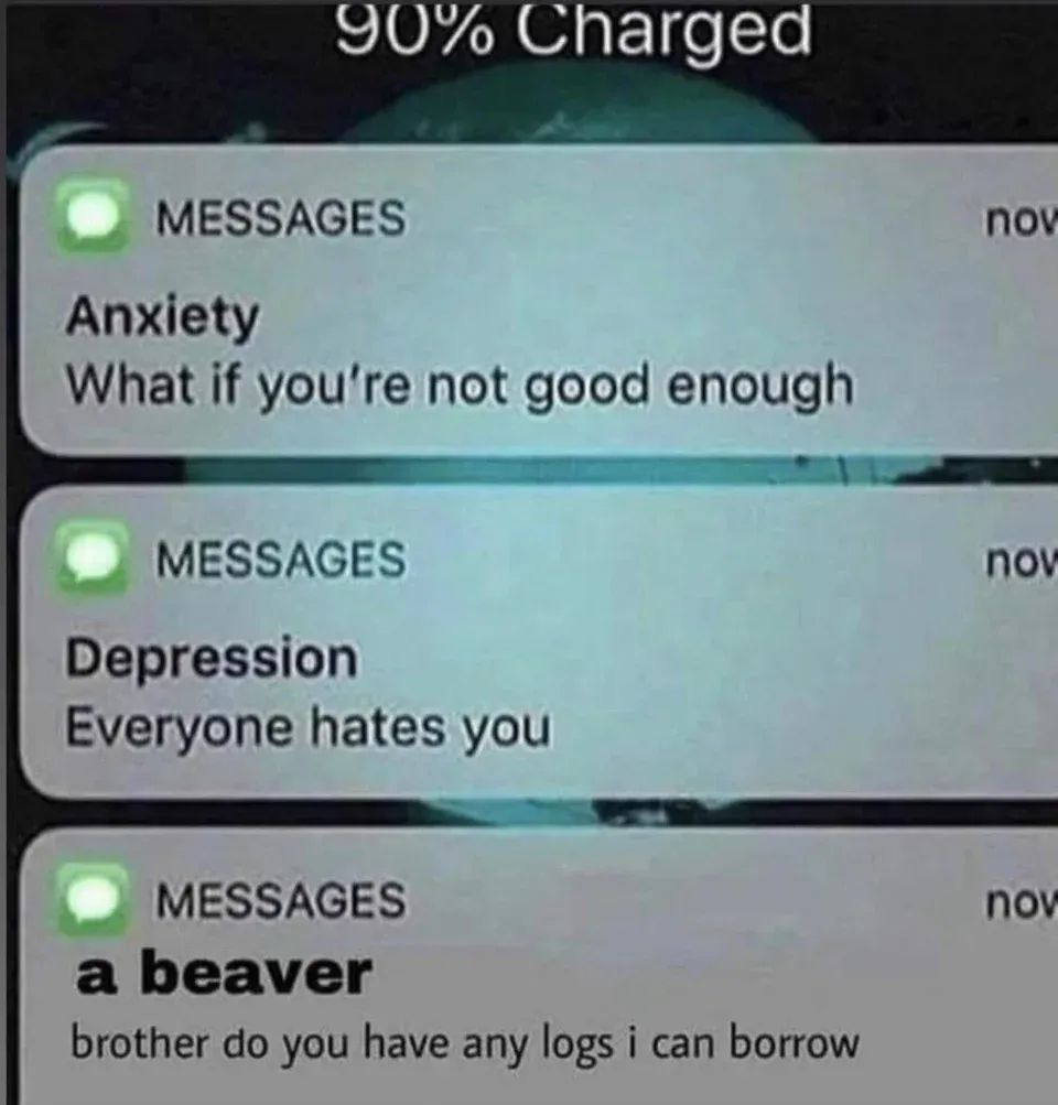 hilarious memes - sad nibba hours - 90% Charged Messages nov Anxiety What if you're not good enough Messages nov Depression Everyone hates you nov Messages a beaver brother do you have any logs i can borrow