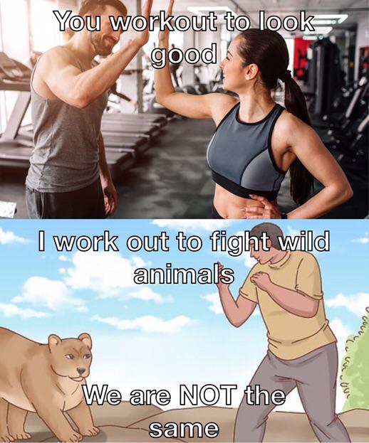 hilarious memes - You workout to look good I work out to fight wild animals Uvous We are Not the same