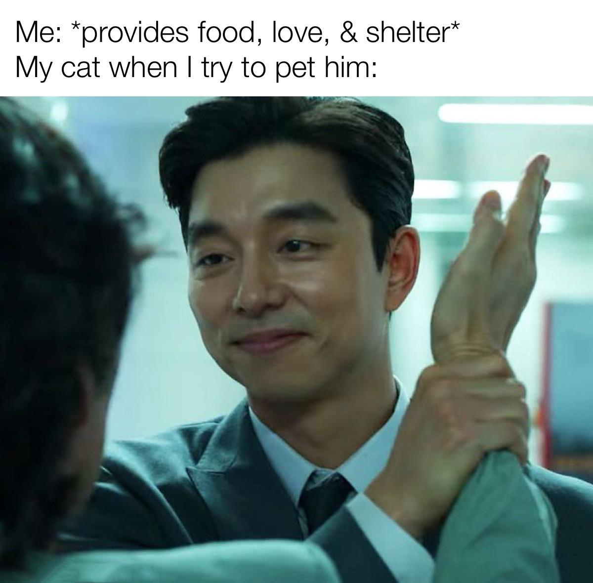 dank memes - gong yoo - Me provides food, love, & shelter My cat when I try to pet him