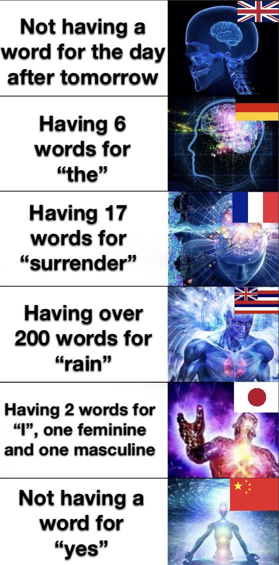dank memes - expanding brain meme - Nk Not having a word for the day after tomorrow Having 6 words for "the" Having 17 words for "surrender" Having over 200 words for "rain" Having 2 words for "I", one feminine and one masculine Not having a word for "yes
