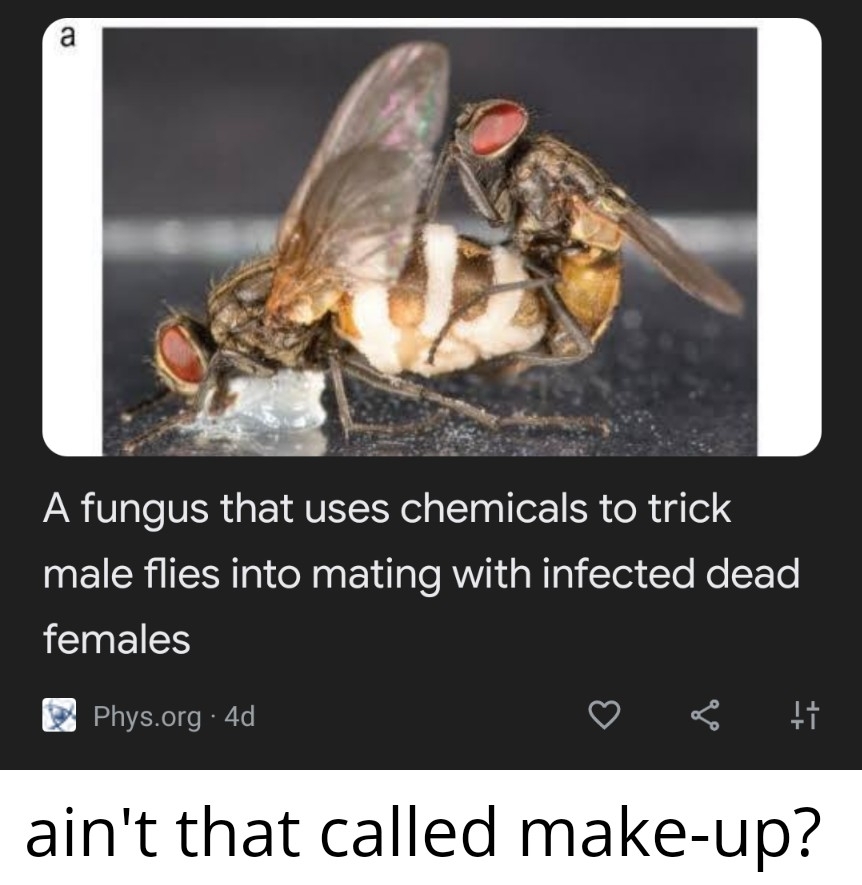 dank memes - google offers - a A fungus that uses chemicals to trick male flies into mating with infected dead females Phys.org 4d a ti ain't that called makeup?