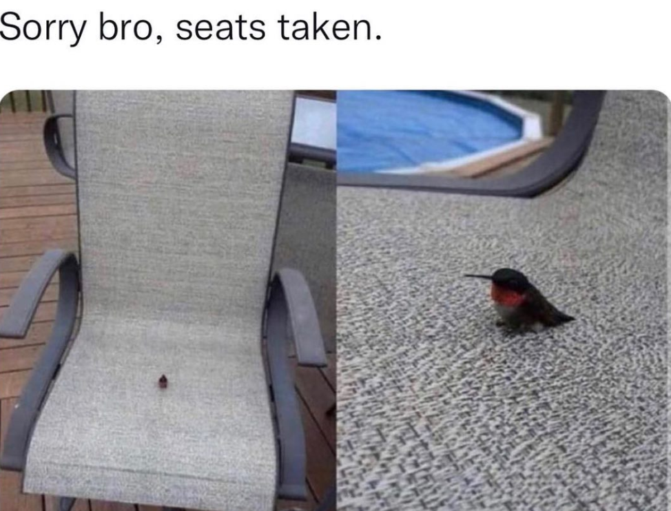 dank memes - sorry bro this seat is taken - Sorry bro, seats taken.