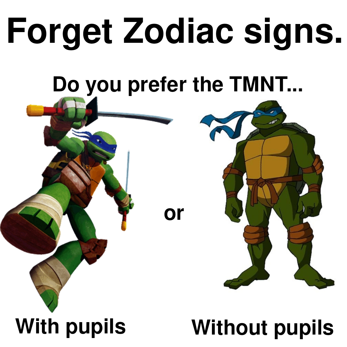dank memes - tmnt 2003 leonardo - Forget Zodiac signs. Do you prefer the Tmnt... or With pupils Without pupils