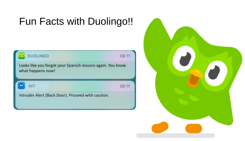 funny memes - new memes - duolingo bird gif - Fun Facts with Duolingo!! Duolingo Looks you forgot your Spanish lessons again. You know what happens now! Adt Intruder Alert Back Door. Proceed with caution.