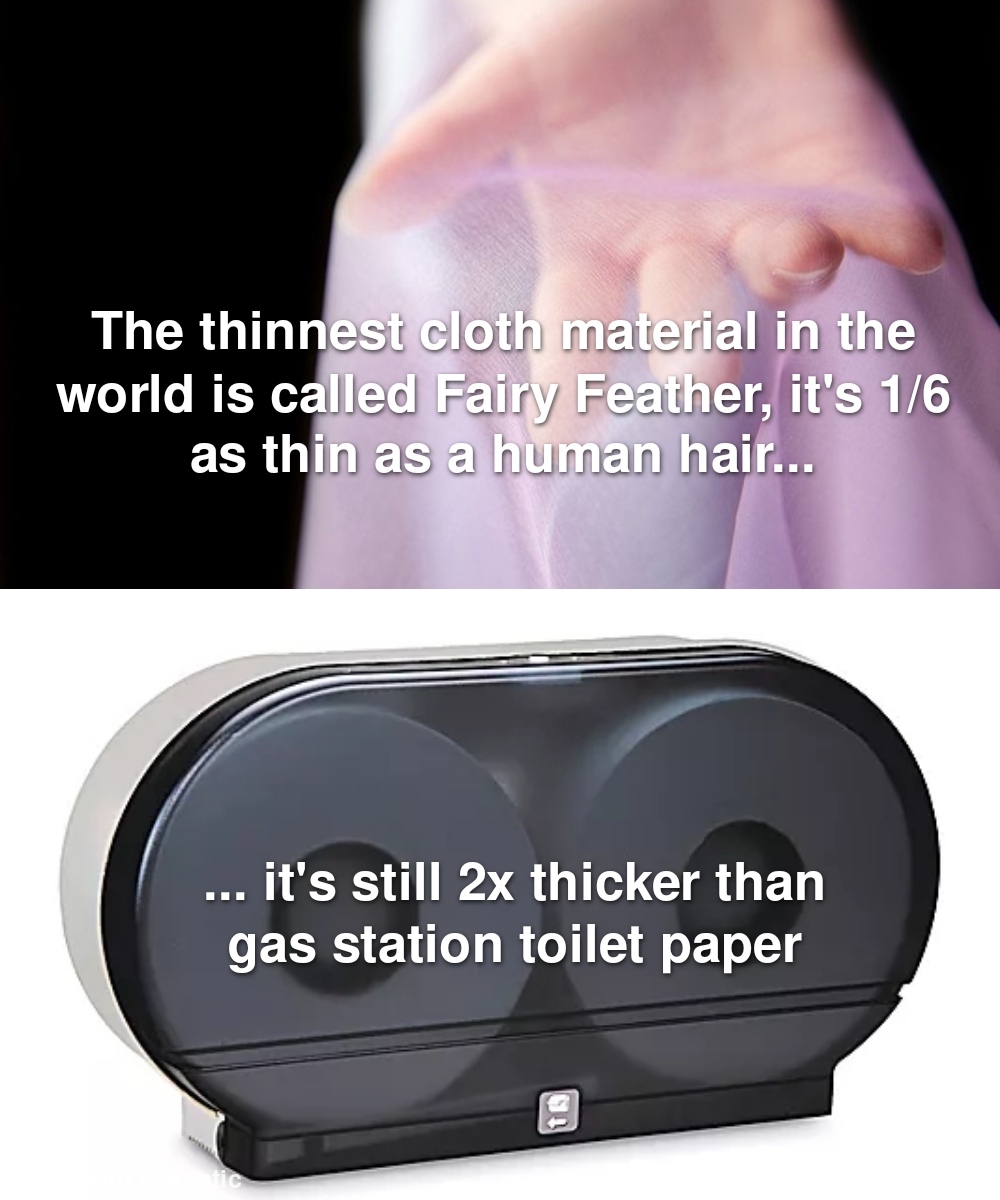 funny memes - new memes - The thinnest cloth material in the world is called Fairy Feather, it's 16 as thin as a human hair... Iii it's still 2x thicker than gas station toilet paper