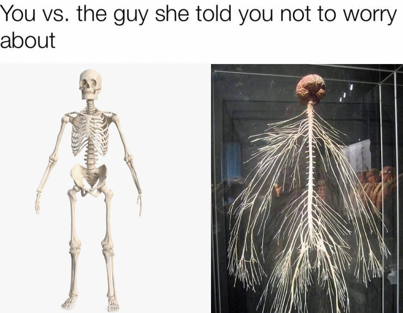 funny memes - new memes - your nervous system - You vs. the guy she told you not to worry about