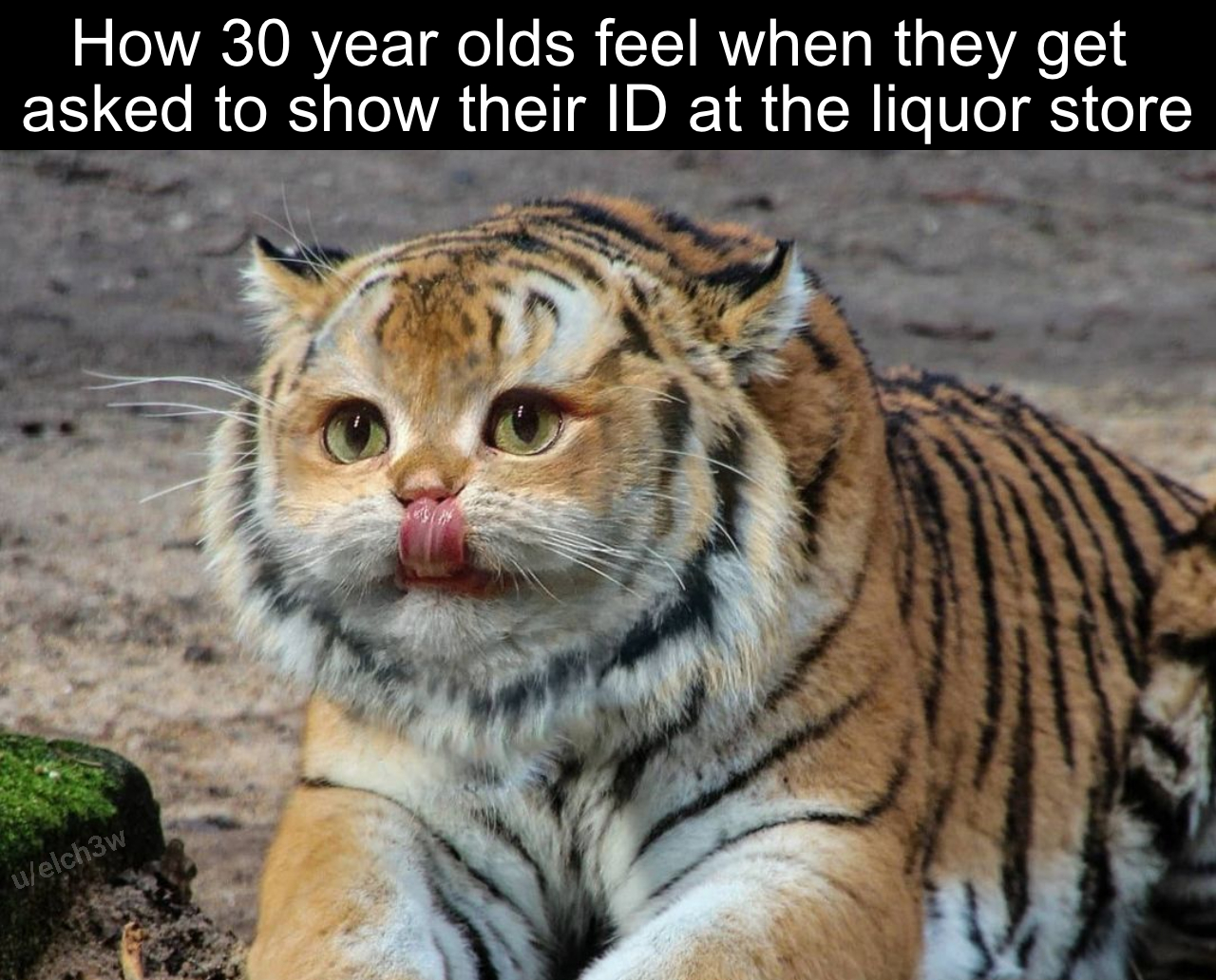 funny memes - new memes - Tiger - How 30 year olds feel when they get asked to show their Id at the liquor store uelch3w