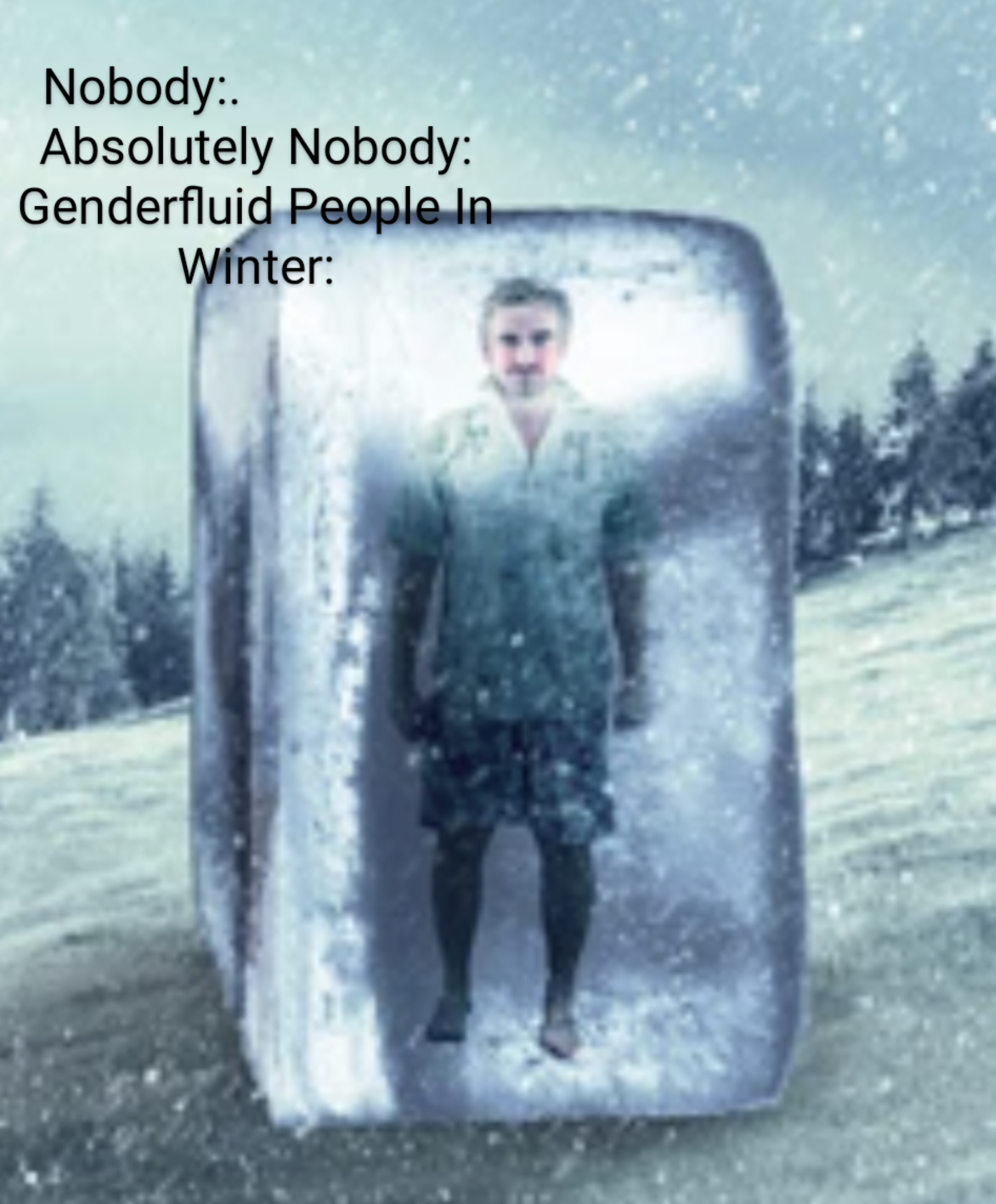 funny memes - new memes - stuck in ice cube - Nobody Absolutely Nobody Genderfluid People In Winter