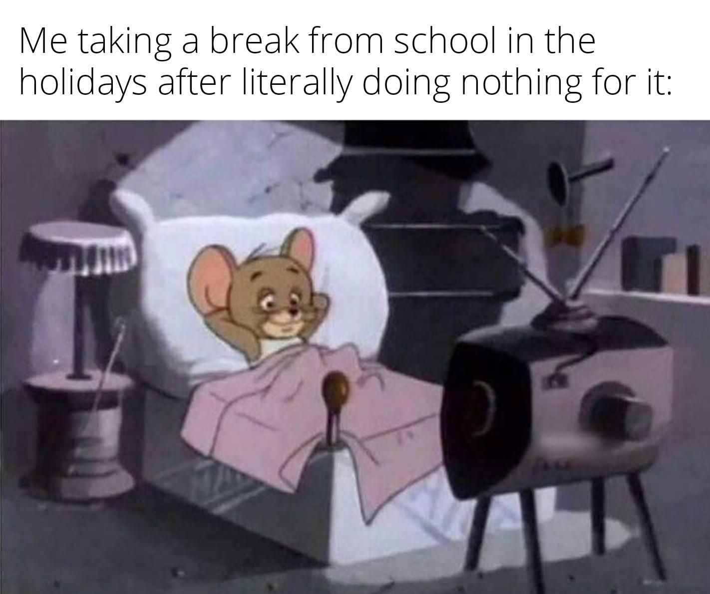 funny memes - new memes - me i have so many responsibilities - Me taking a break from school in the holidays after literally doing nothing for it