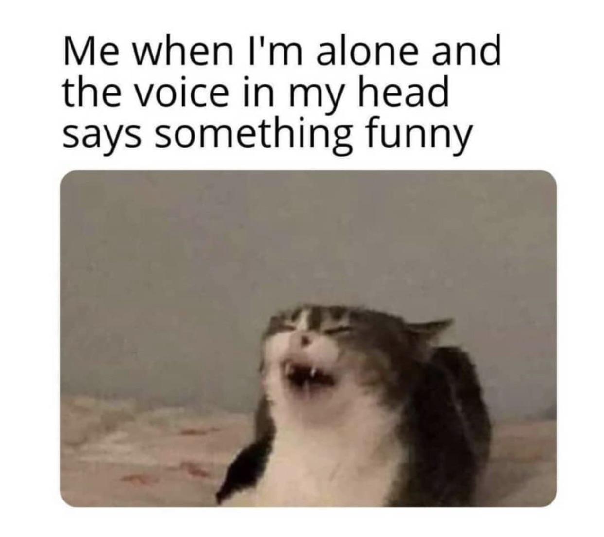 me when i m alone and the voice - Me when I'm alone and the voice in my head says something funny
