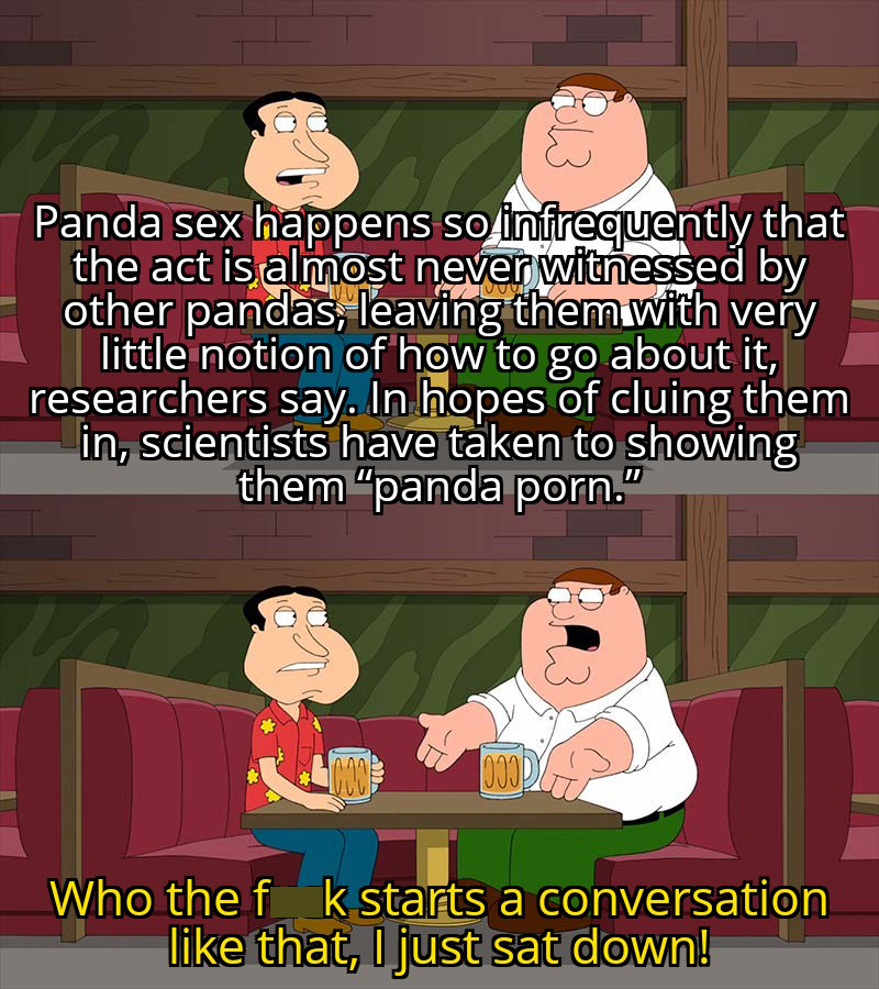 axie infinity memes - en Panda sex happens so infrequently that the act is almost never witnessed by other pandas, leaving them with very little notion of how to go about it, researchers say. In hopes of cluing them in, scientists have taken to showing th