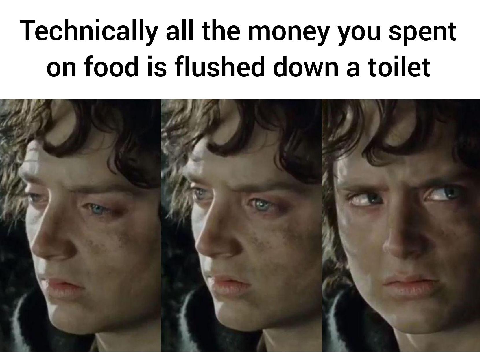 lotr lore memes - Technically all the money you spent on food is flushed down a toilet