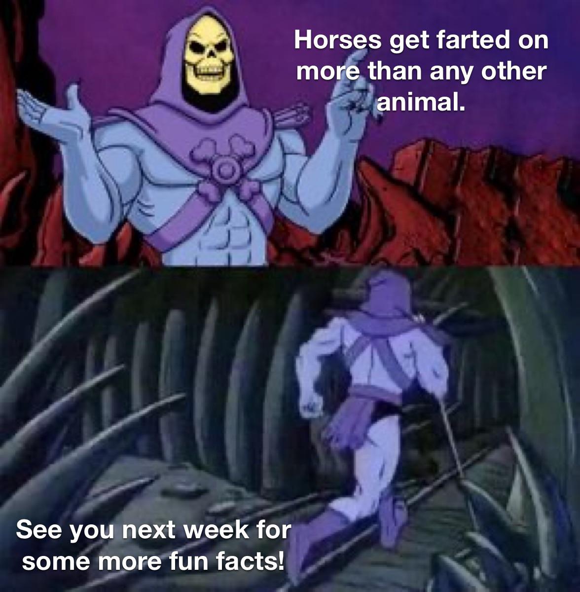 skeletor facts meme template - Horses get farted on more than any other animal. See you next week for some more fun facts!