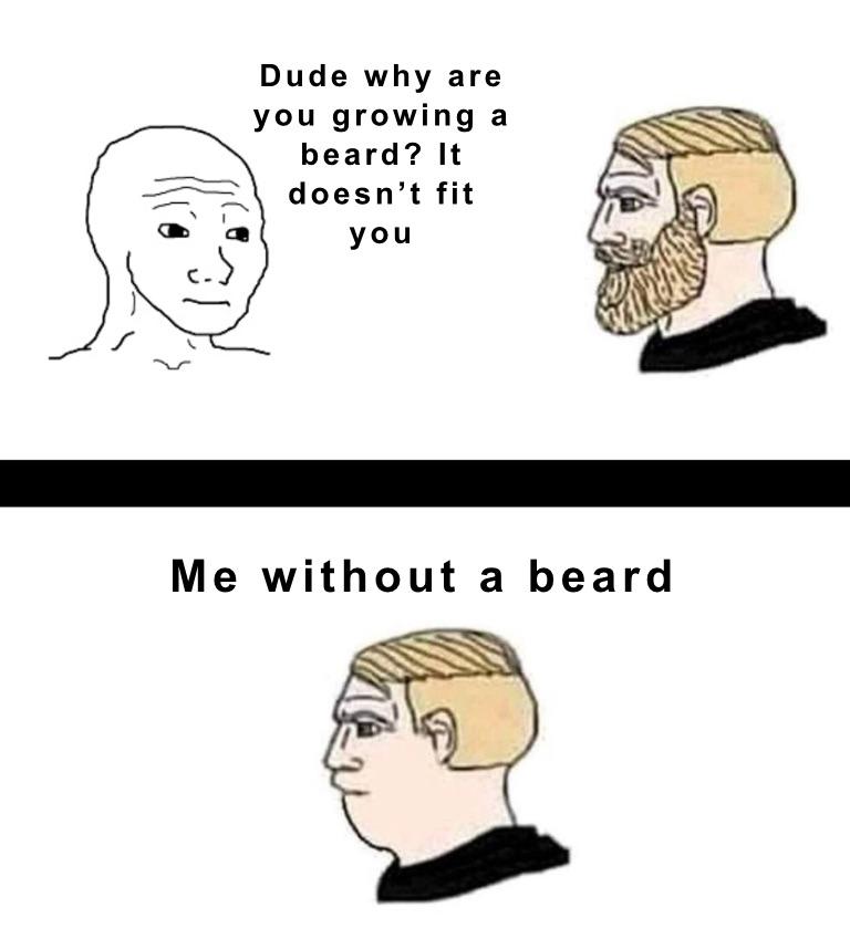 dank memes - funny memes - accept your terms meme - Dude why are you growing beard? It doesn't fit you Me without a beard
