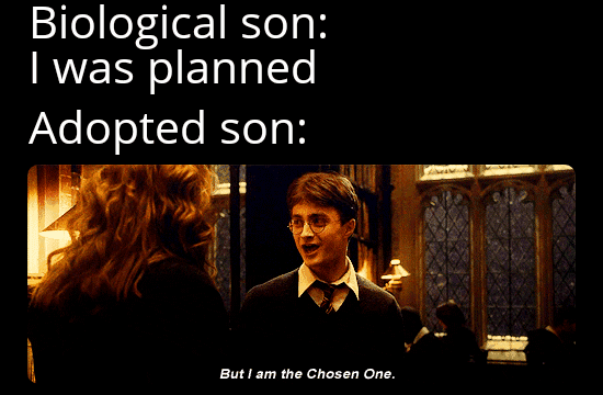 dank memes - funny memes - harry potter - Biological son I was planned Adopted son But I am the Chosen One.