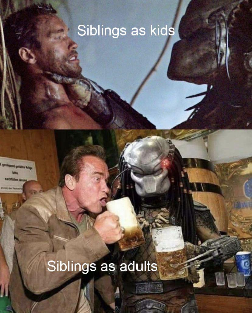 funny memes - arnold schwarzenegger drinking beer - Siblings as kids 18 Siblings as adults