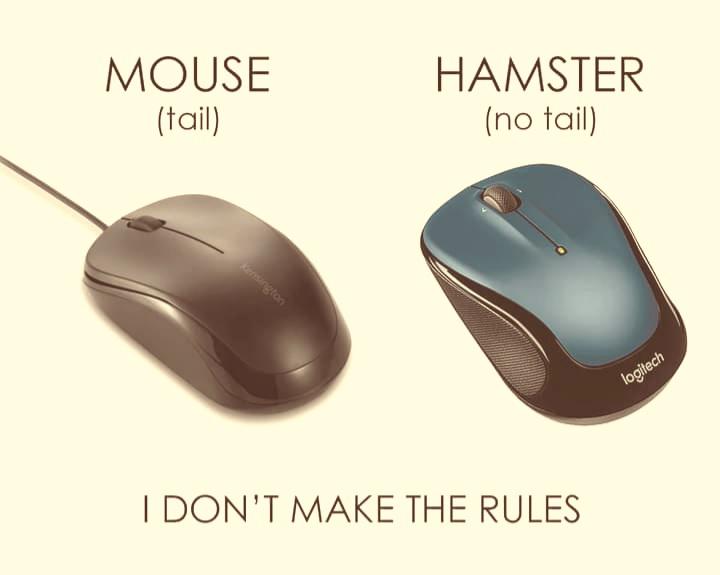 fresh memes - mouse - Mouse tail Hamster no tail sangton logitech I Don'T Make The Rules