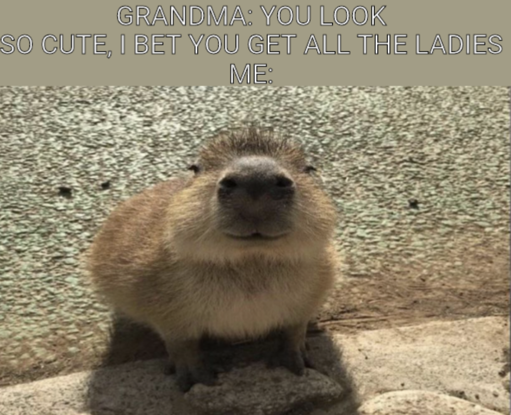 dank memes - gort capybara - Grandma You Look So Cute, I Bet You Get All The Ladies Me