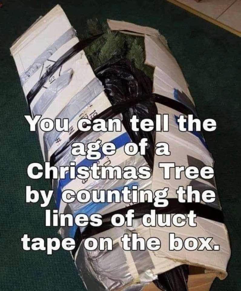 dank memes - You can tell the age of a Christmas Tree by counting the lines of duct tape on the box.