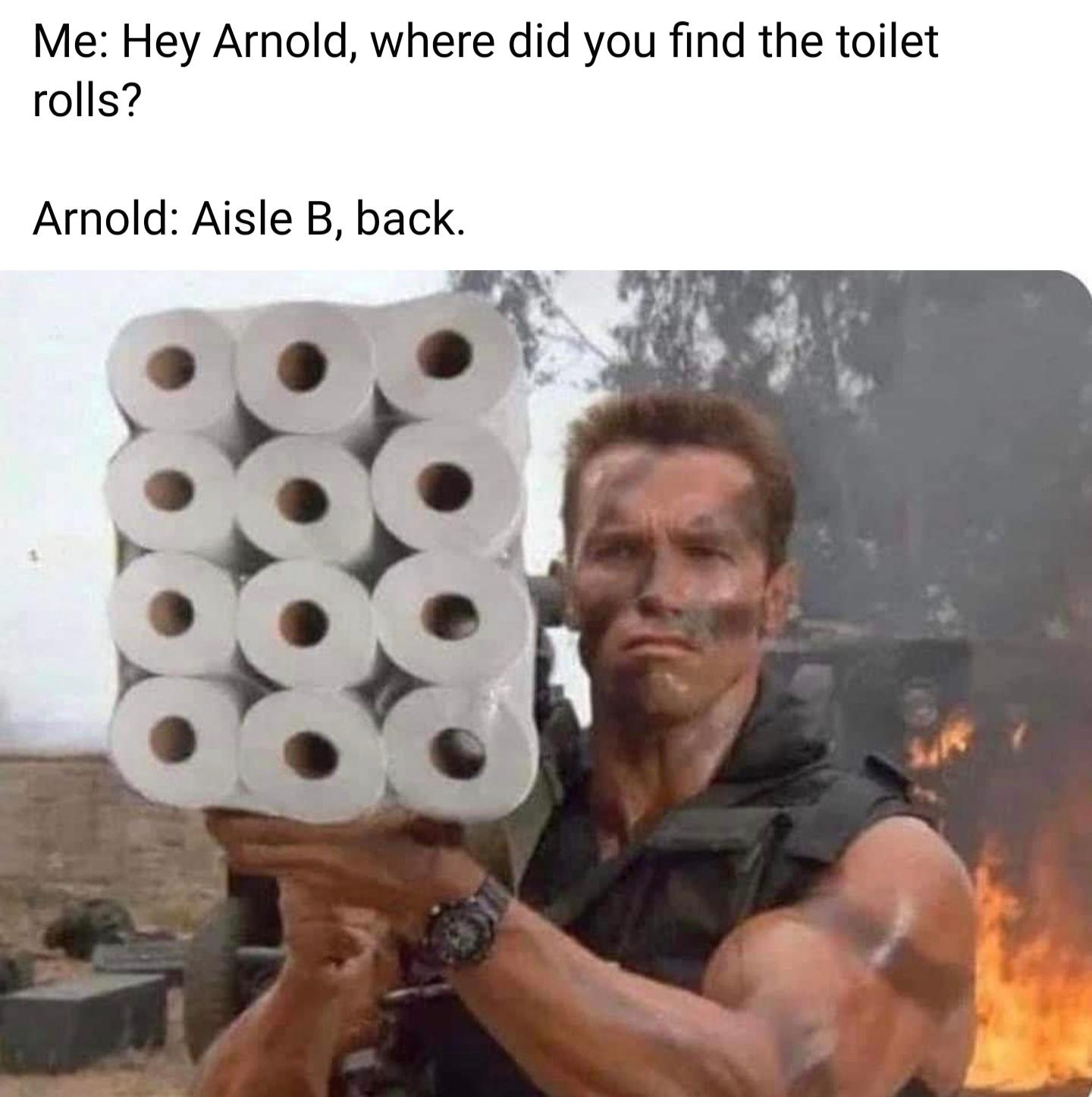 dank memes - arnie toilet roll - Me Hey Arnold, where did you find the toilet rolls? Arnold Aisle B, back.