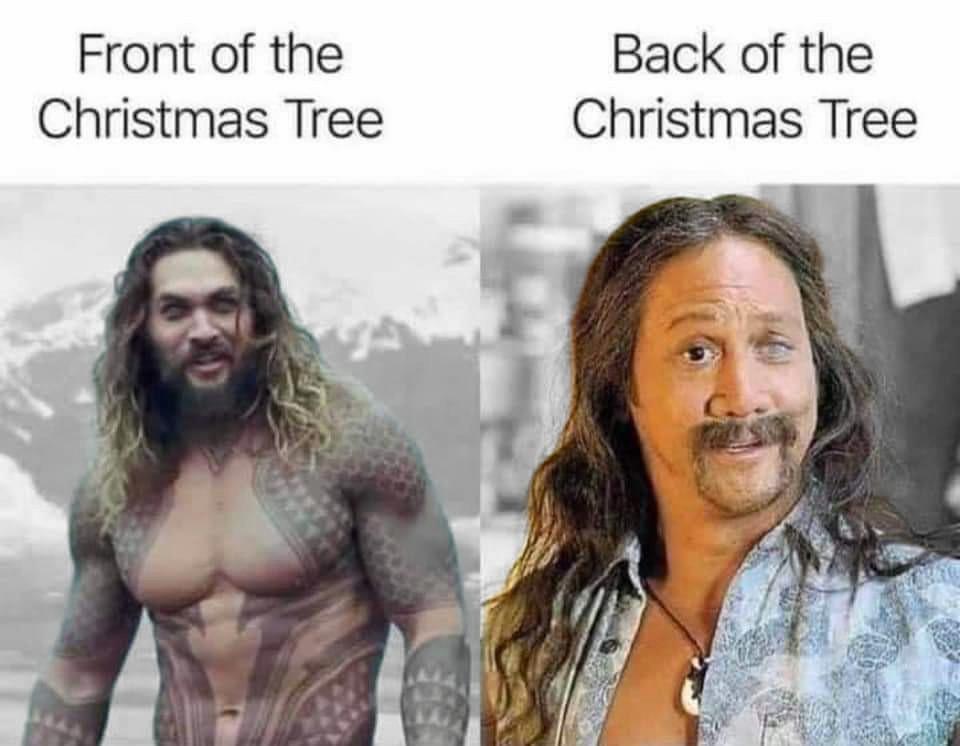 dank memes - funny memes - back of the christmas tree meme - Front of the Christmas Tree Back of the Christmas Tree