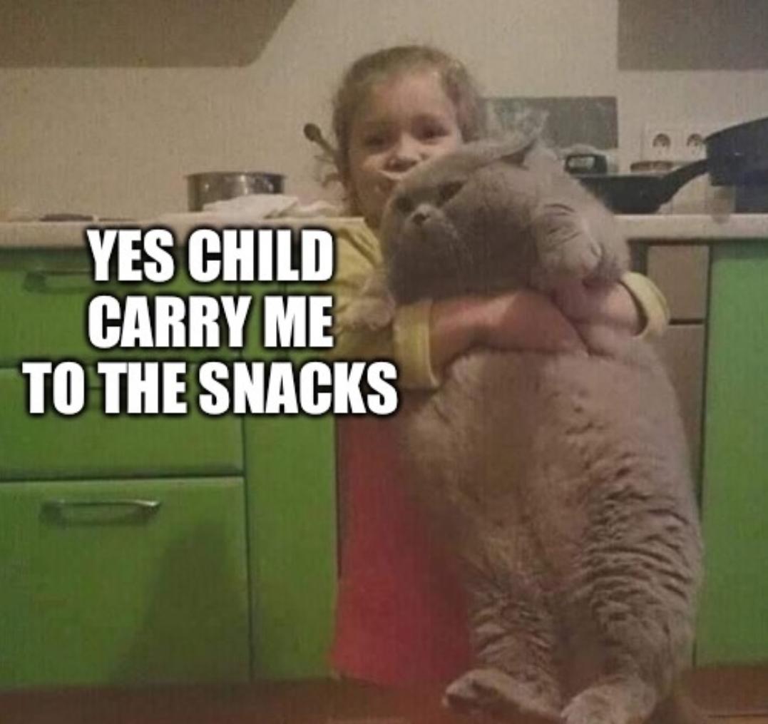 dank memes - funny memes - hoodie allen - Yes Child Carry Me To The Snacks