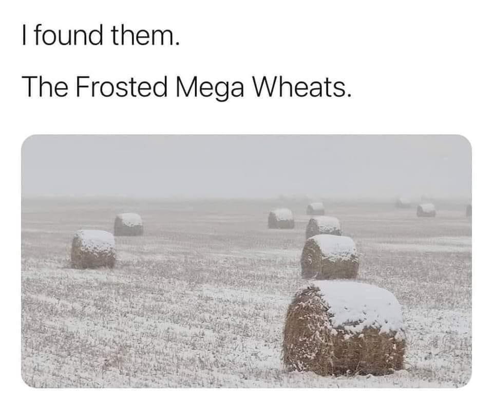 dank memes - funny memes - frosted mega wheats meme - I found them. The Frosted Mega Wheats.