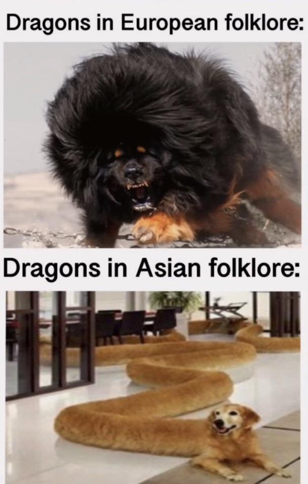 dank memes - funny memes - Dog - Dragons in European folklore Dragons in Asian folklore