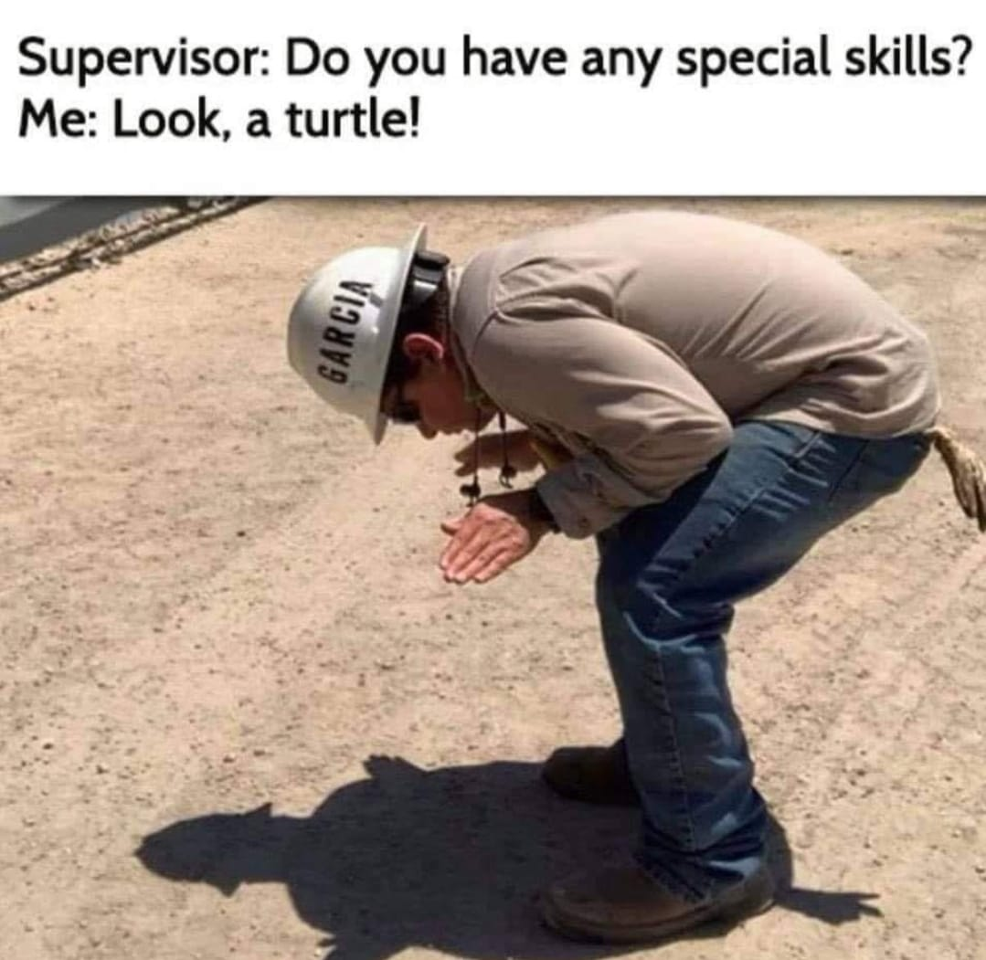 do you have any special skills meme - Supervisor Do you have any special skills? Me Look, a turtle! Garcia